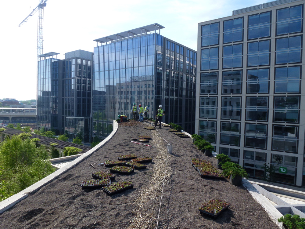 Bureau of Alcohol, Tobacco, Firearms and Explosives Green Roof Soil Installation